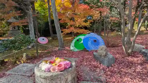 勝林寺(京都府)