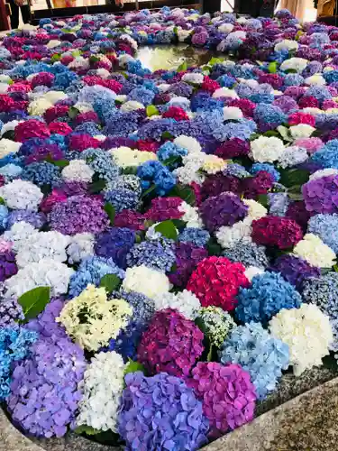 太宰府天満宮の手水舎