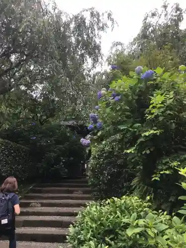 明月院のその他建物