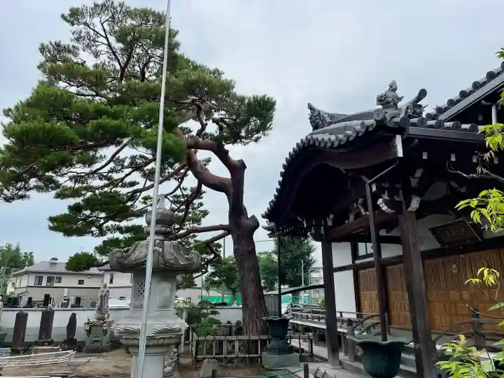 大法寺(宮城県)
