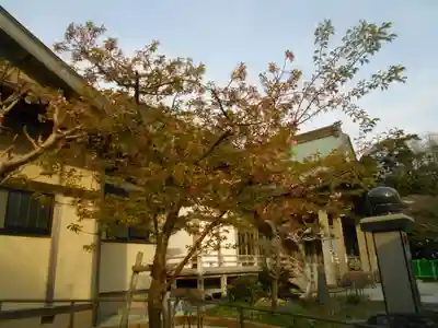 光明寺(神奈川県)