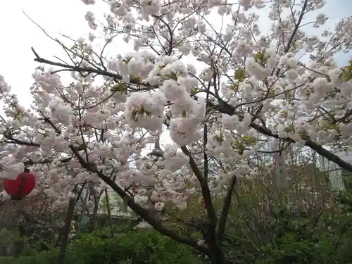 引接寺（千本ゑんま堂）の庭園