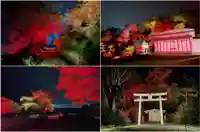 金蛇水神社(宮城県)