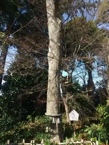 高蔵寺(東京都)