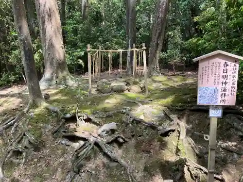 春日大社(奈良県)