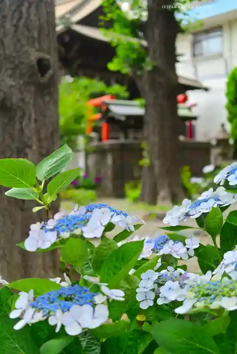 磐井神社(東京都)