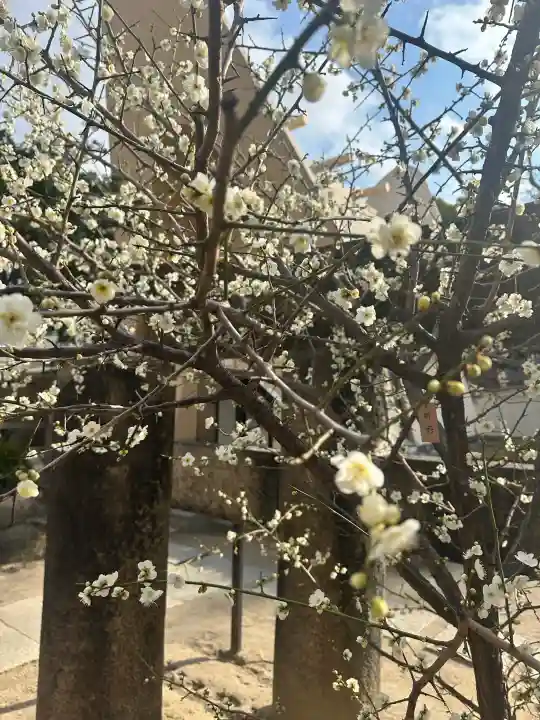玉造稲荷神社の{uncategorized: "未分類", other: "その他", undefined: "問題あり", building: "その他建物", grave: "お墓", sacred_gate: "鳥居", guardian: "狛犬", statue: "像", buddha: "仏像", history: "歴史", nature: "自然", garden: "庭園", animal: "動物", pagoda: "塔", temizu: "手水舎", mountain_gate: "山門・神門", sanctuary: "本殿・本堂", subordinate: "末社・摂社", art: "芸術", scenery: "景色", jizo: "地蔵", ema: "絵馬", goshuin: "御朱印", omikuji: "おみくじ", items: "授与品その他", amulet: "お守り", goshuincho: "御朱印帳", eats: "食事", festival: "お祭り", votive_dance: "神楽", shichigosan: "七五三参", wedding: "結婚式", experience: "体験その他", initially: "初詣", around: "周辺", anti_infection: "感染症対策"}