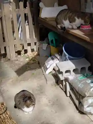 阿邪訶根神社(福島県)