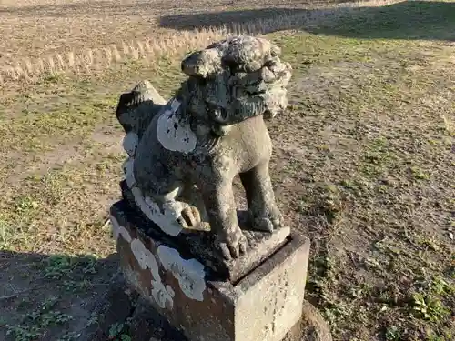 細田神社の狛犬