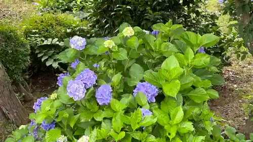 月蔵院(山形県)