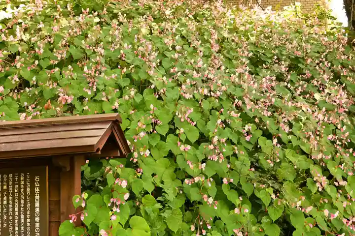 国宝 大法寺(長野県)