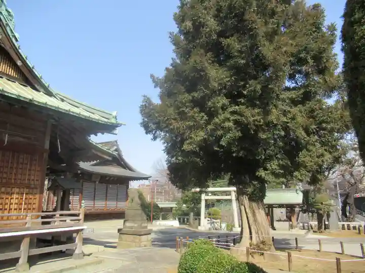 諏訪神社(東京都)