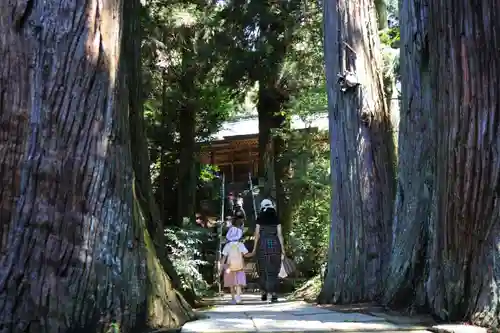 鹿島大神宮の景色