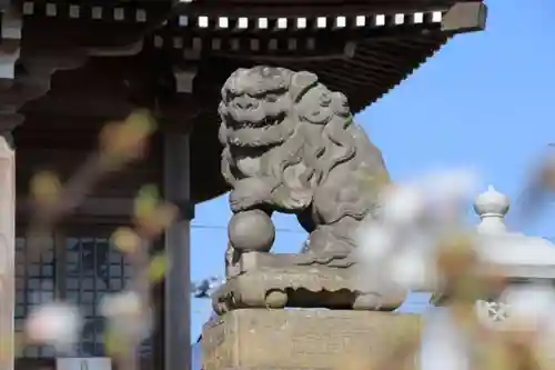 熊野福藏神社の狛犬