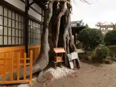 三輪恵比須神社(奈良県)