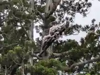 瑞巌寺(宮城県)