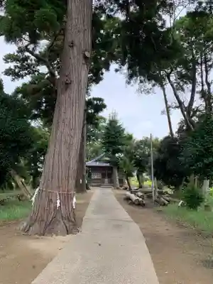 熊野神社(千葉県)
