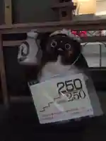 狸谷山不動院のその他建物