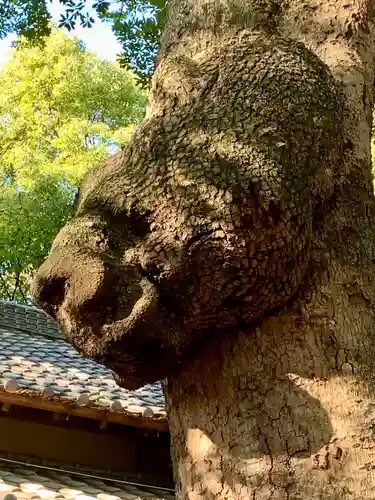 氷川女體神社(埼玉県)