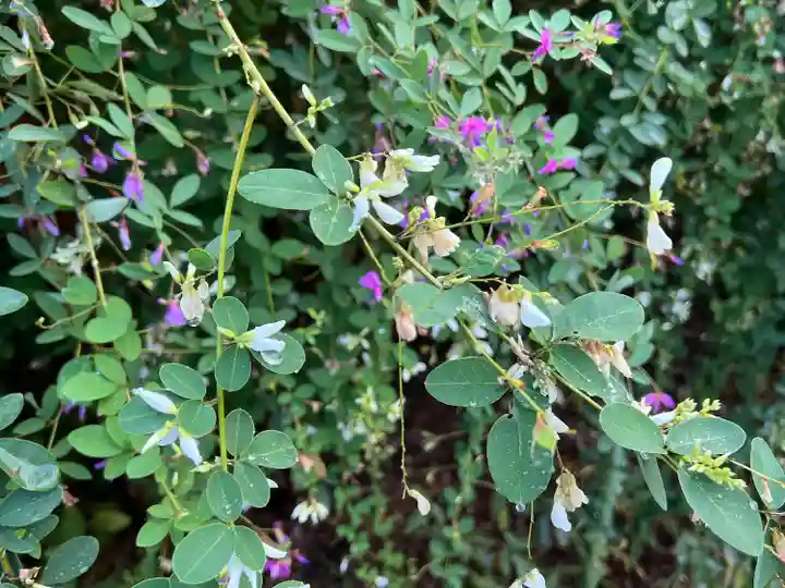 常林寺(京都府)