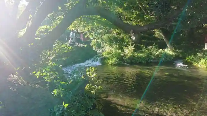 富士山本宮浅間大社のその他建物