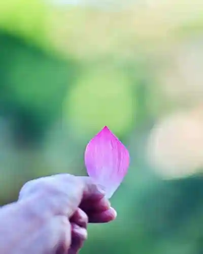 浄土寺(兵庫県)