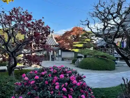 梅香寺の庭園