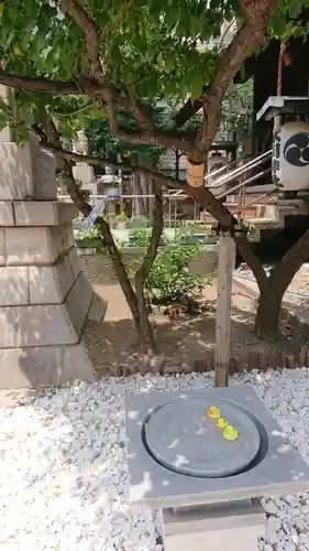 高円寺氷川神社の庭園