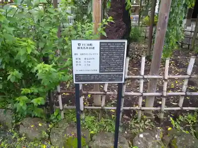 長楽寺のその他建物