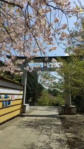 茨城縣護國神社の鳥居