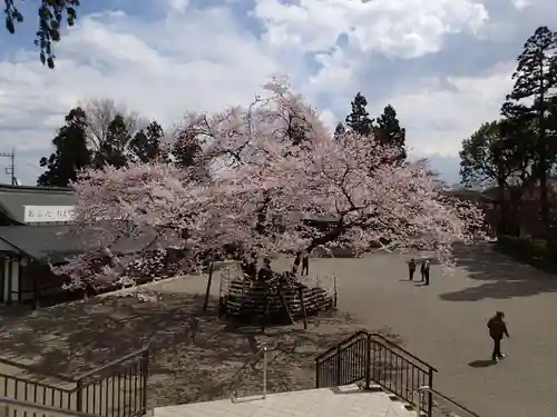 高麗神社の景色