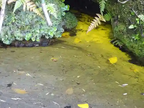 白笹稲荷神社の自然