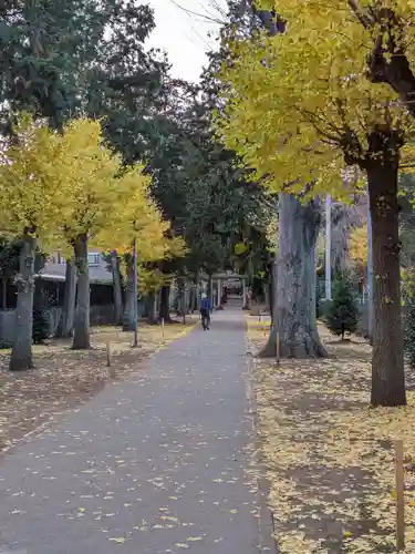 神明大神宮(神奈川県)