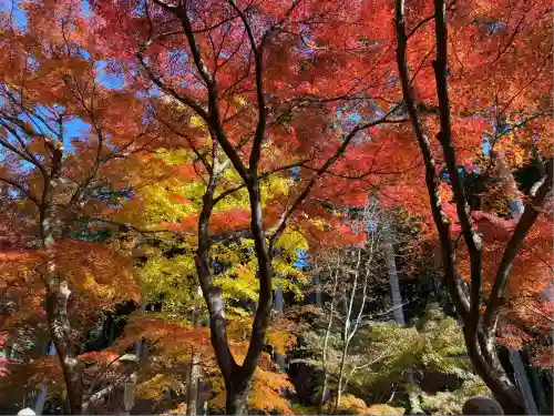 高山寺(兵庫県)