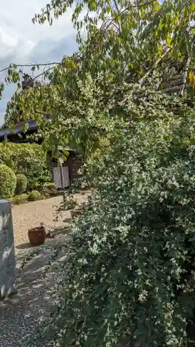 後白河院御聖蹟　法住寺(京都府)