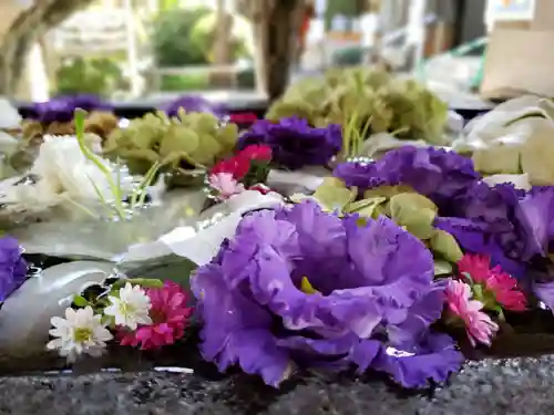 鳩森八幡神社の手水舎