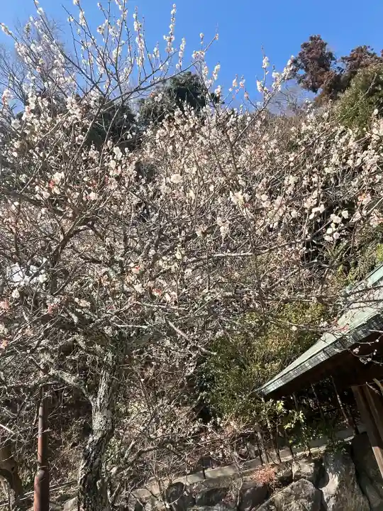 鎌倉宮(神奈川県)