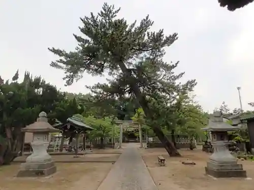 春日神社の鳥居