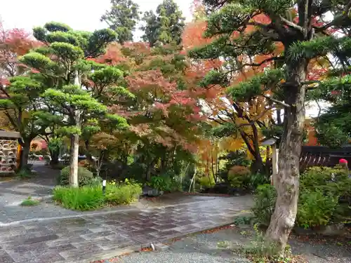 能満寺の庭園