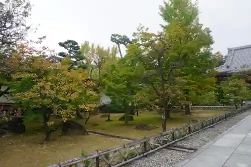  智積院の庭園