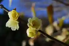 清水寺の自然