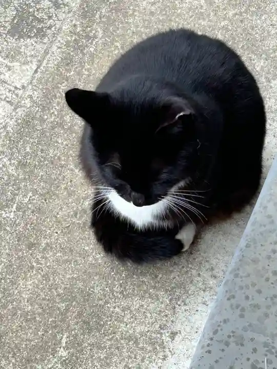 岡部春日神社~👹鬼門よけの🌺花咲く🌺やしろ~(福島県)