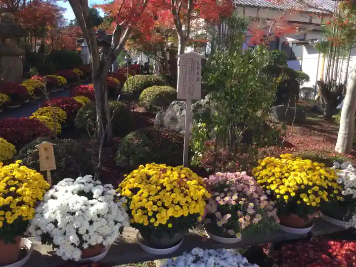 宝徳寺(群馬県)