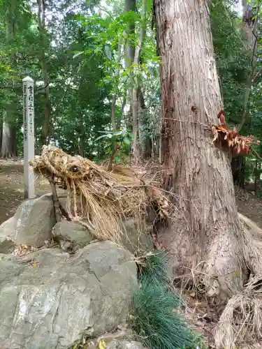氷川女體神社(埼玉県)
