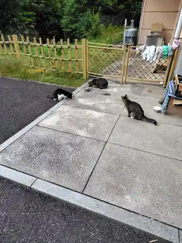 白金氷川神社(東京都)
