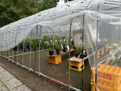 青海神社(新潟県)