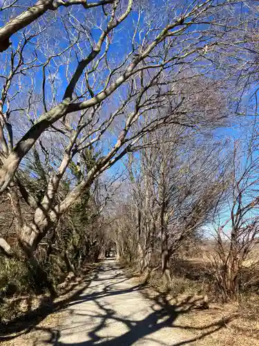 女化神社(茨城県)