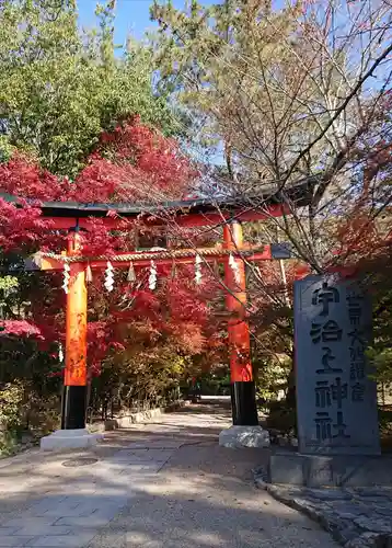 宇治上神社の鳥居