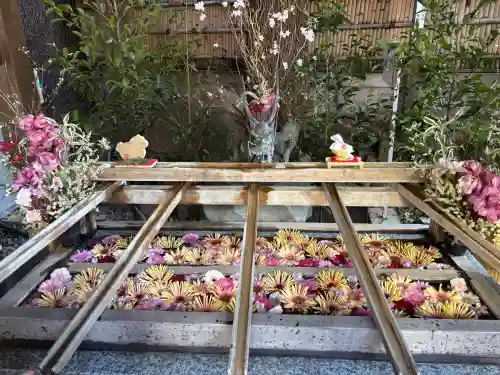 東京大神宮の{uncategorized: "未分類", other: "その他", undefined: "問題あり", building: "その他建物", grave: "お墓", sacred_gate: "鳥居", guardian: "狛犬", statue: "像", buddha: "仏像", history: "歴史", nature: "自然", garden: "庭園", animal: "動物", pagoda: "塔", temizu: "手水舎", mountain_gate: "山門・神門", sanctuary: "本殿・本堂", subordinate: "末社・摂社", art: "芸術", scenery: "景色", jizo: "地蔵", ema: "絵馬", goshuin: "御朱印", omikuji: "おみくじ", items: "授与品その他", amulet: "お守り", goshuincho: "御朱印帳", eats: "食事", festival: "お祭り", votive_dance: "神楽", shichigosan: "七五三参", wedding: "結婚式", experience: "体験その他", initially: "初詣", around: "周辺", anti_infection: "感染症対策"}