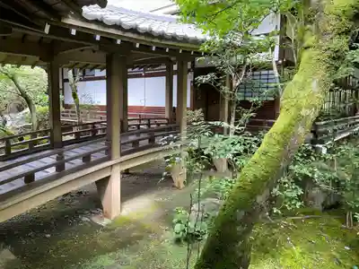 禅林寺(永観堂)(京都府)